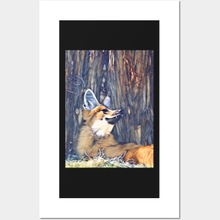 Maned Wolf Posters and Art